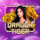 Dragon Tiger nustar live casino